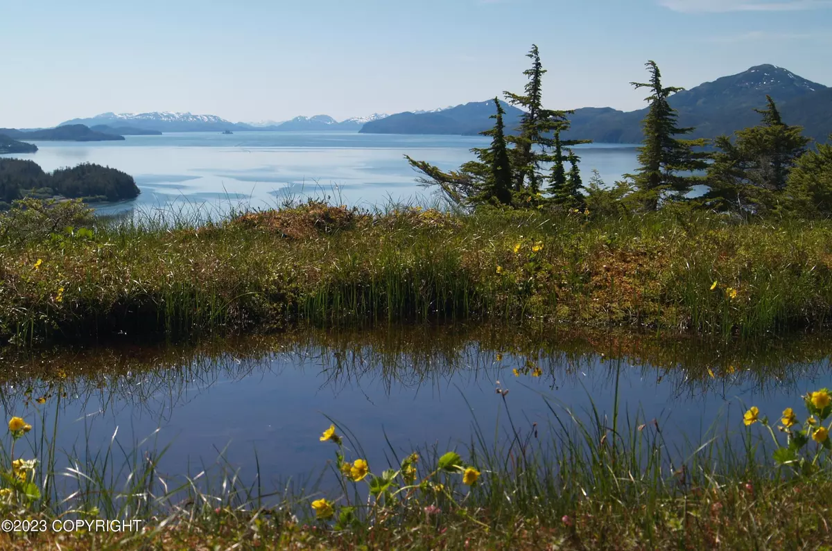 Cordova, AK 99574,111 Cabin Ridge RD