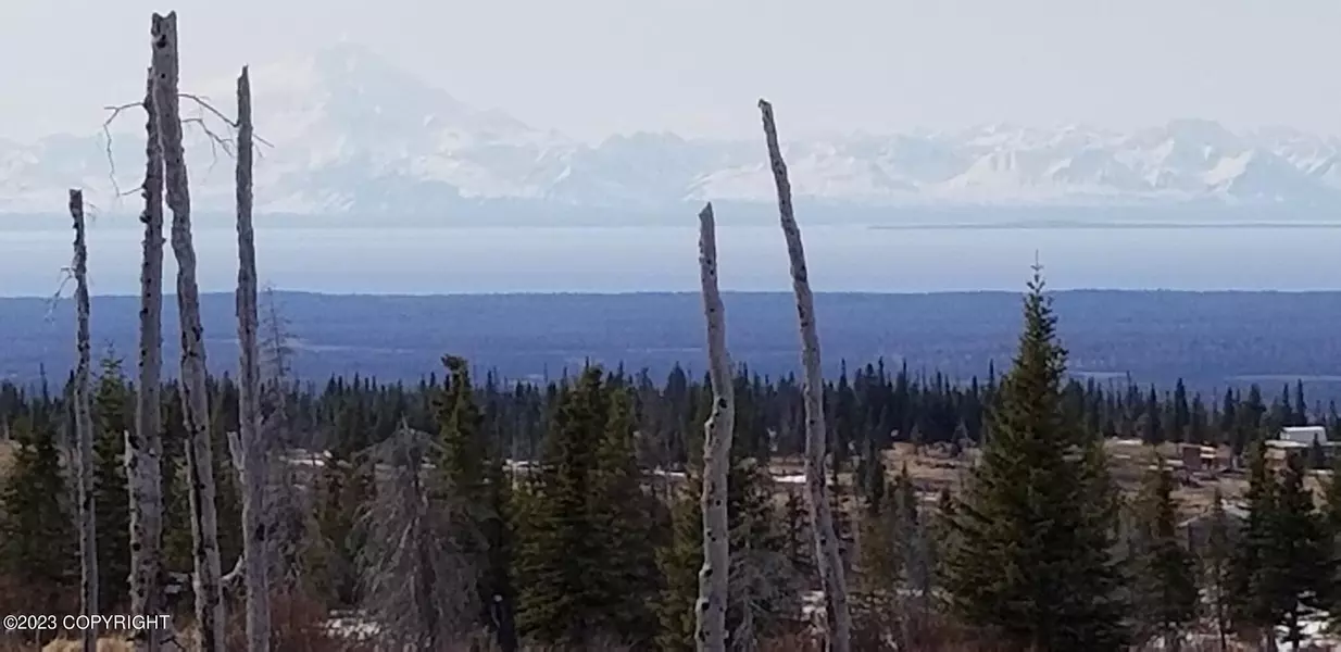 0000 Caribou Hills Lot-See Legal, Ninilchik, AK 99639