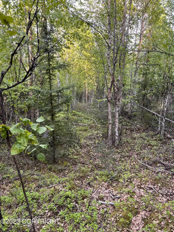 13965 W Aero LN, Big Lake, AK 99652