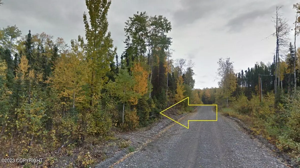 Big Lake, AK 99652,21225 W Blarney Stone DR
