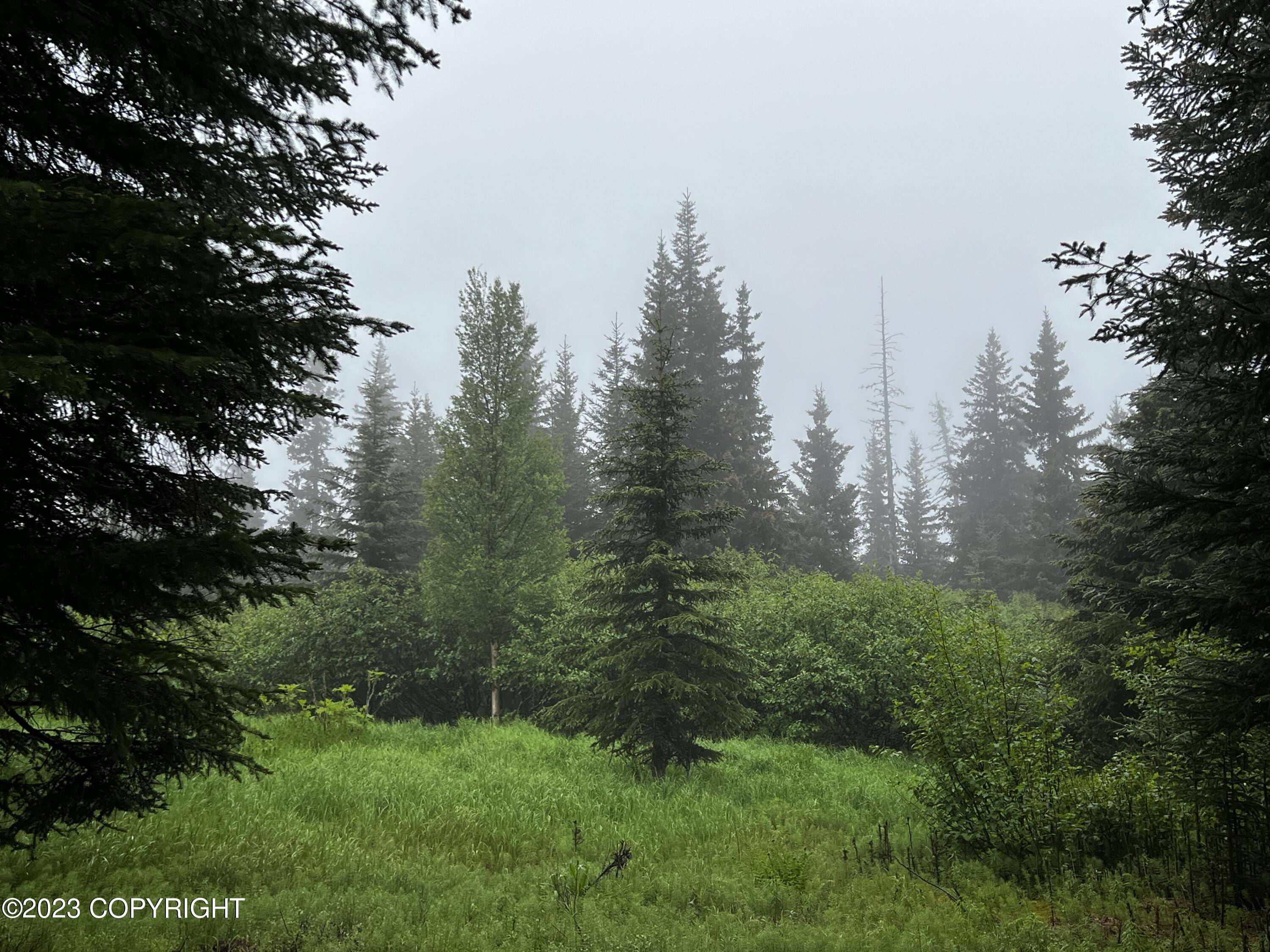 Nikolaevsk, AK 99556,L52 Dubova RD