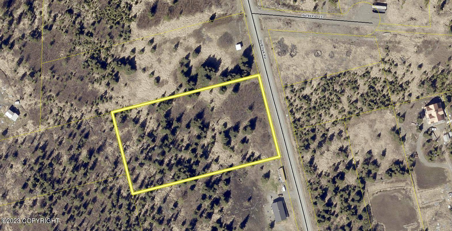 Nikolaevsk, AK 99556,L52 Dubova RD