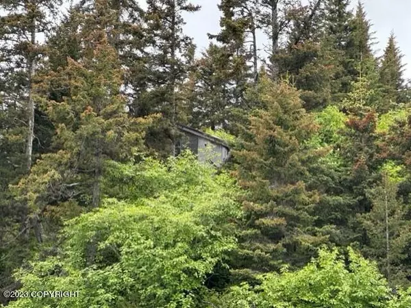 Halibut Cove, AK 99603,00 Peterson Bay