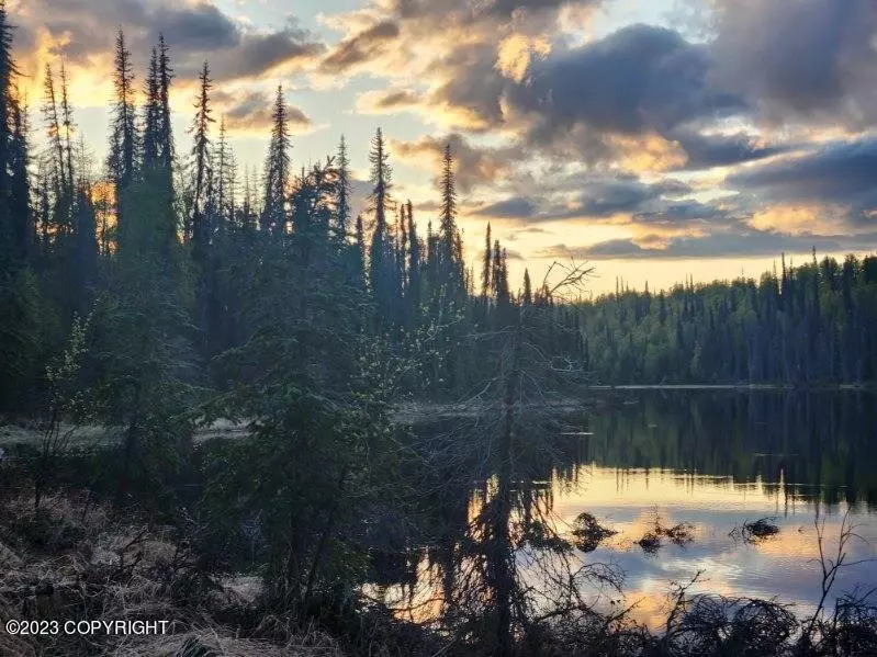 Skwentna, AK 99000,T00D No Road