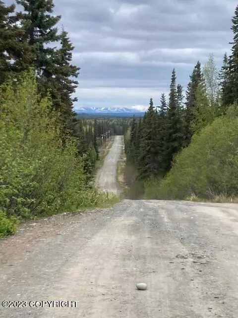 Kasilof, AK 99610,22420 Dickson ST