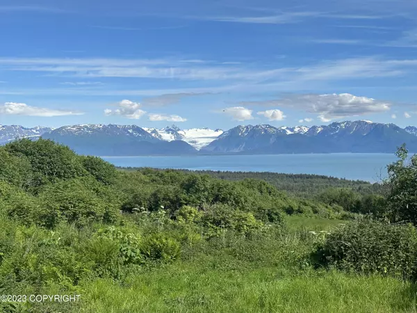 57901 Glacier View RD, Homer, AK 99603