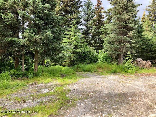 Anchor Point, AK 99556,33625 Alder ST