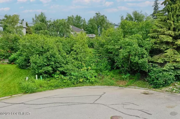 Anchorage, AK 99516,18727 Mountain Plover CIR