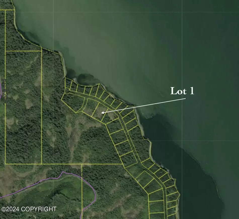 Petersburg, AK 99833,Lot 1 Frederick Point East