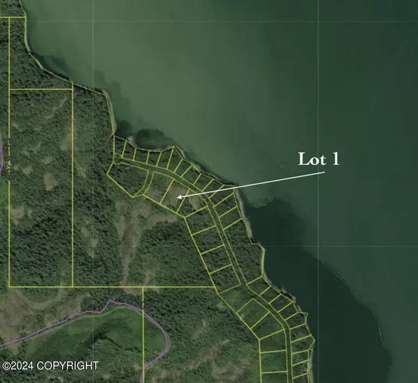 Lot 1 Frederick Point East, Petersburg, AK 99833