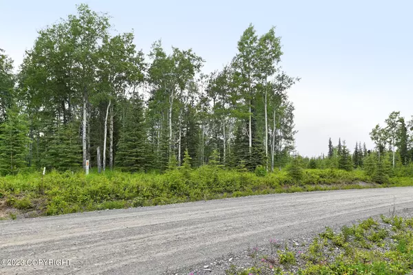 Kasilof, AK 99610,L32 Foxhills Estates