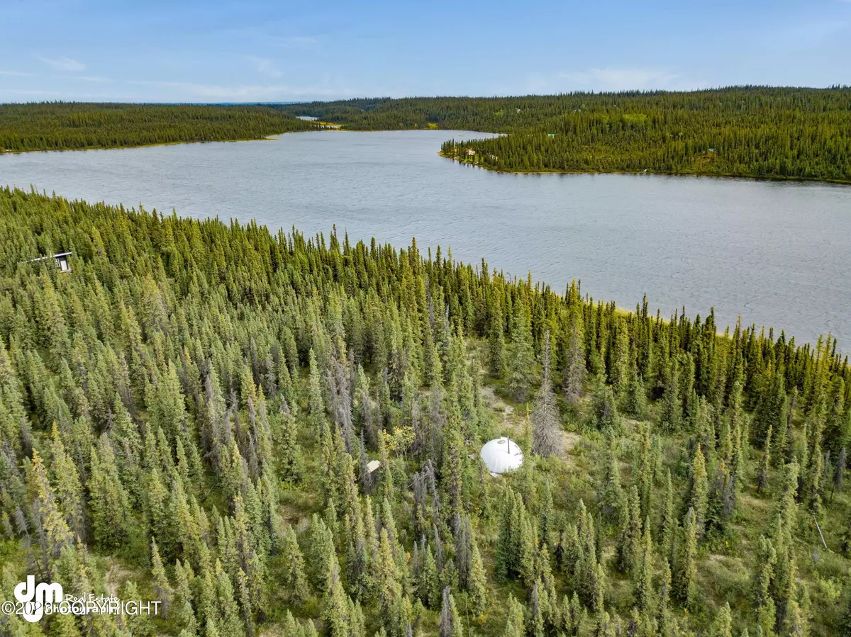 Chitina, AK 99566,93-60 Tract C of ASLS