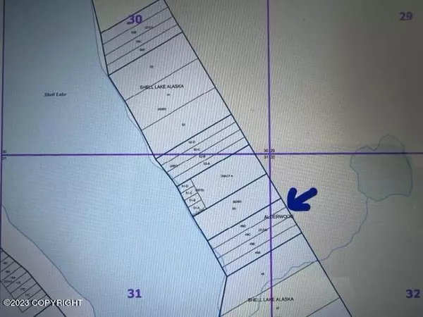 Skwentna, AK 99667,000 Shell Lk Lot 12