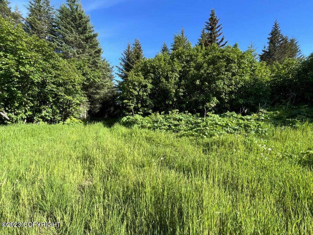 Anchor Point, AK 99556,32675 Shorebird LN