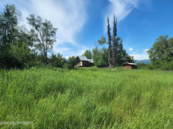 Trapper Creek, AK 99683,No Road ASLS 80-188 Limber Lake