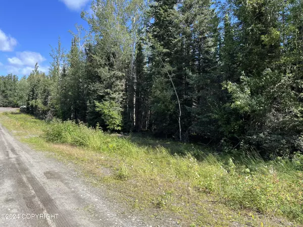 Sterling, AK 99672,36840 Swedes CIR