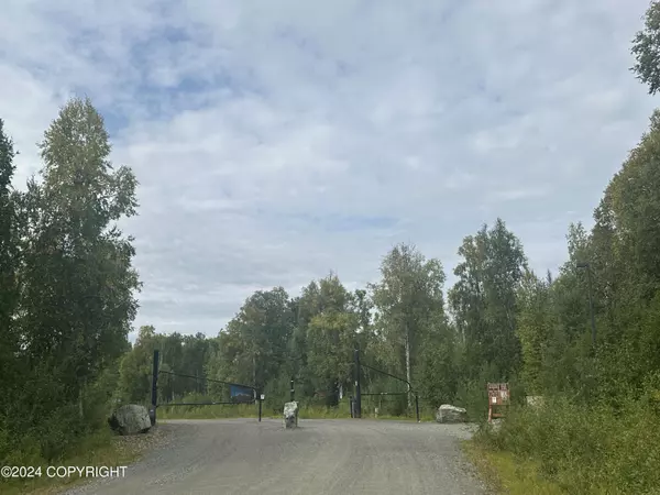 Willow, AK 99688,49365 S Noahs CIR