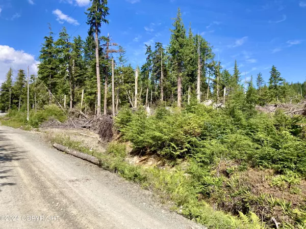 Thorne Bay, AK 99919,L2 Steep Road
