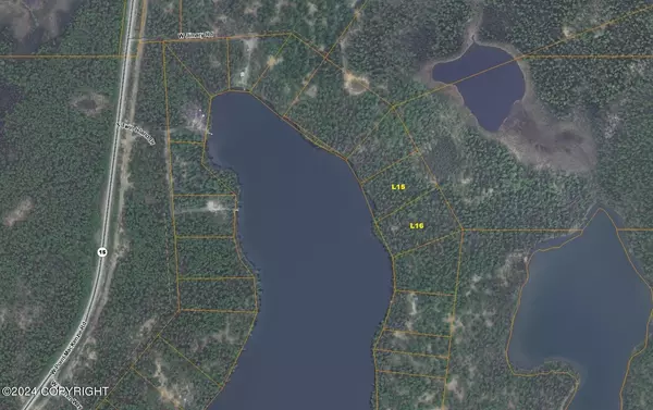 Wasilla, AK 99654,Tr A L16 Twin Island Lake (No Road)