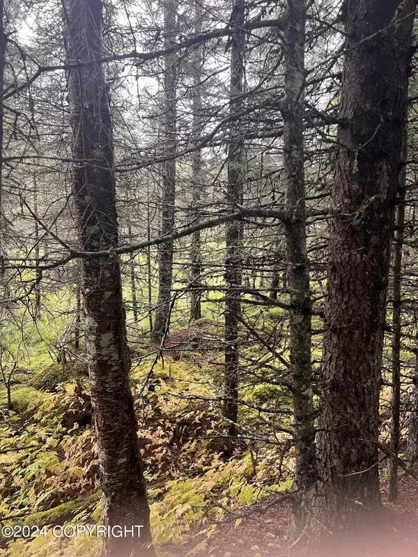 Anchor Point, AK 99556,L2B4 Old Sterling HWY