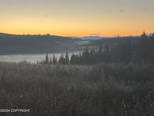 Homer, AK 99603,L3 NKA Crossman Ridge AVE