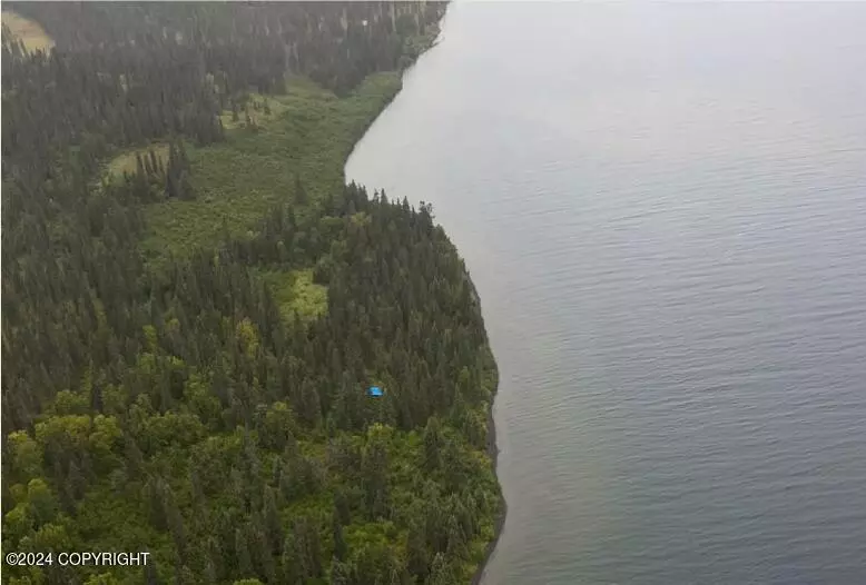 Tract 10 ASLS 2016-9, Dillingham, AK 99576
