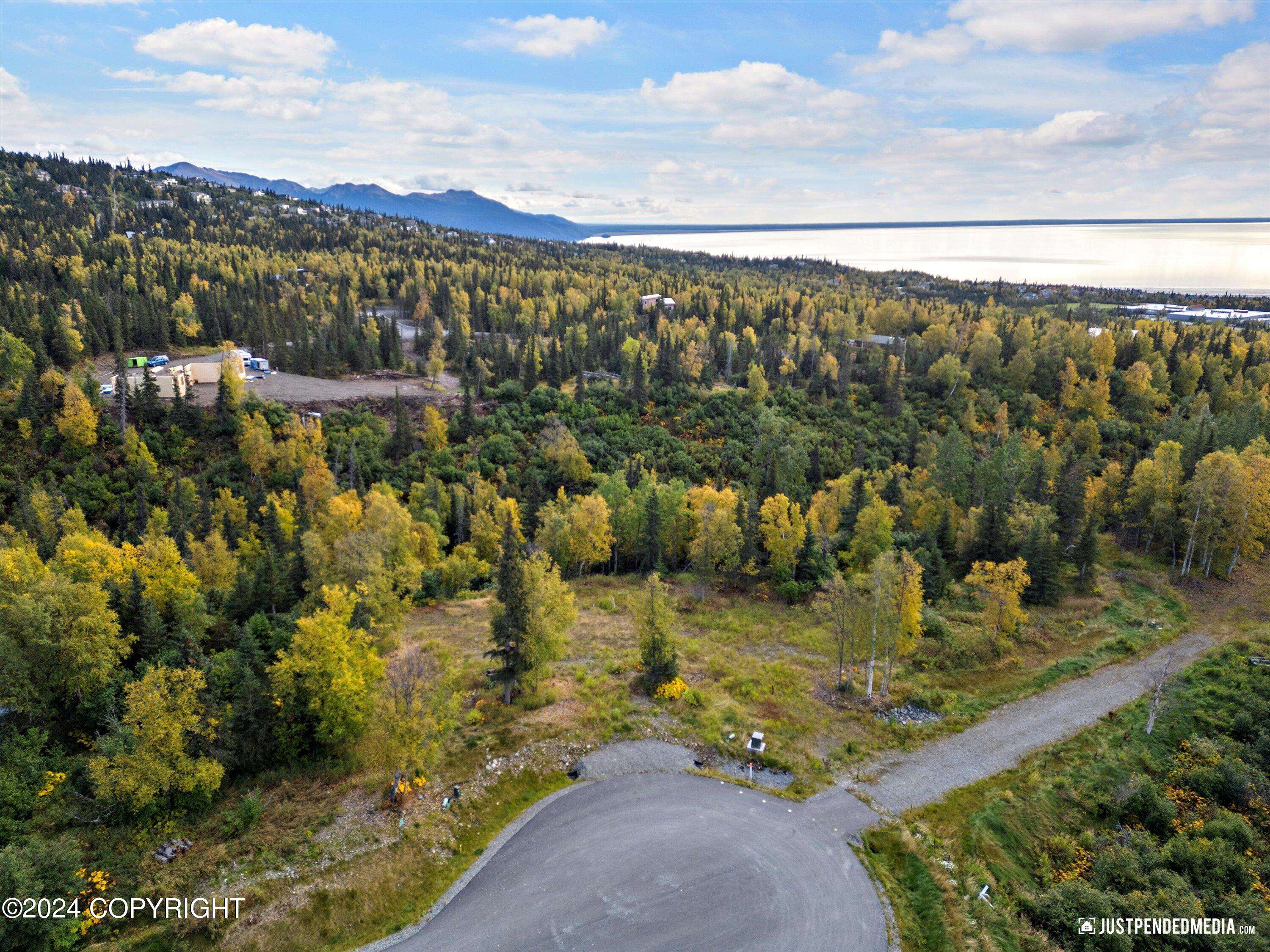 Anchorage, AK 99516,L2A Snow Flake CIR