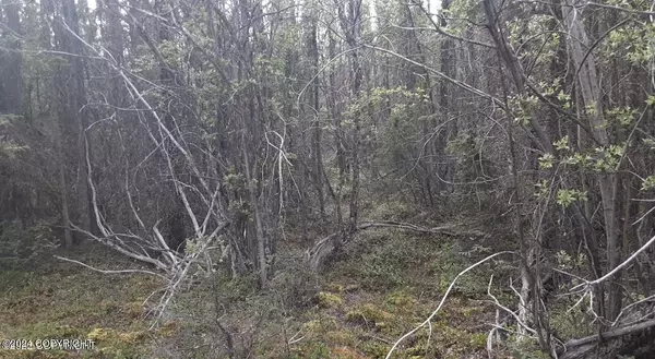 Glennallen, AK 99588,Mile 117.7 Richardson HWY