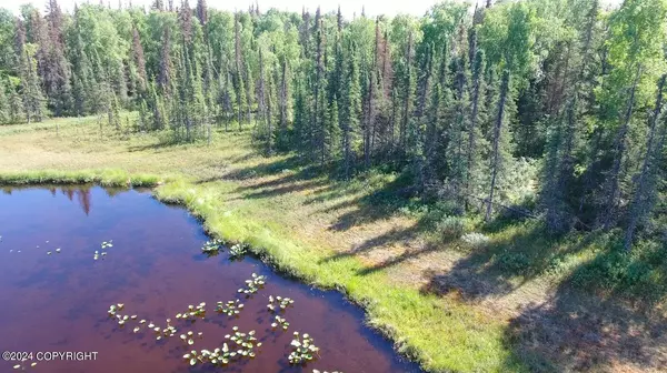 Trapper Creek, AK 99683,Tr F S Sister RD