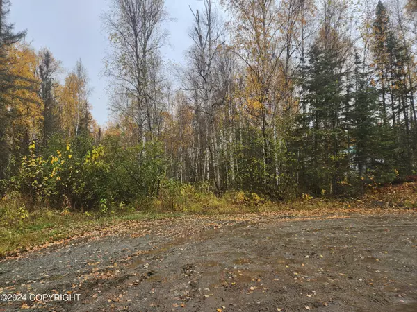 9901 W Bridle LN, Wasilla, AK 99623