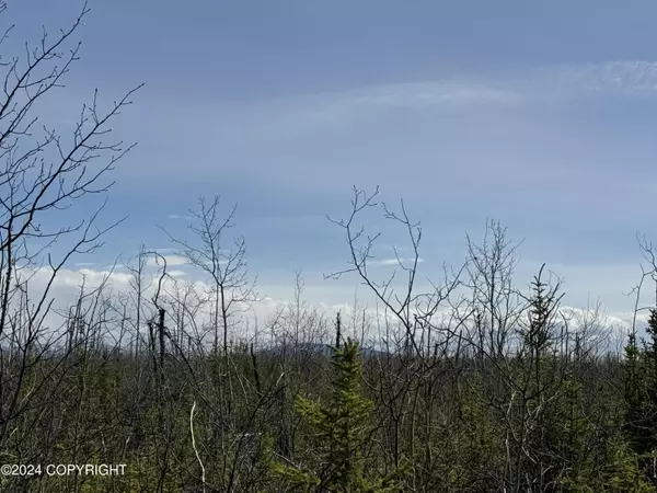 Anderson, AK 99744,NHN Yukon AVE