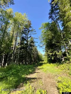 Haines, AK 99827,Lot A Orchard Subdivision