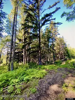 Haines, AK 99827,Lot B Orchard Subdivision