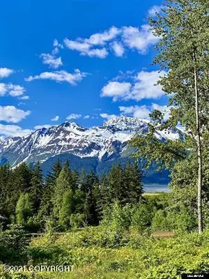 Haines, AK 99827,Lot B Orchard Subdivision