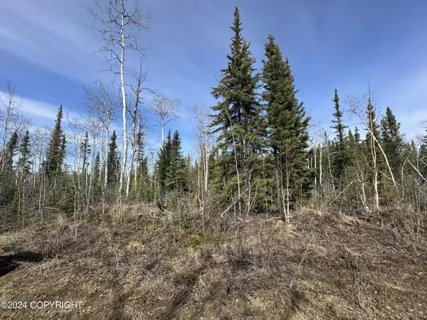 Anderson, AK 99744,UNK Yukon AVE