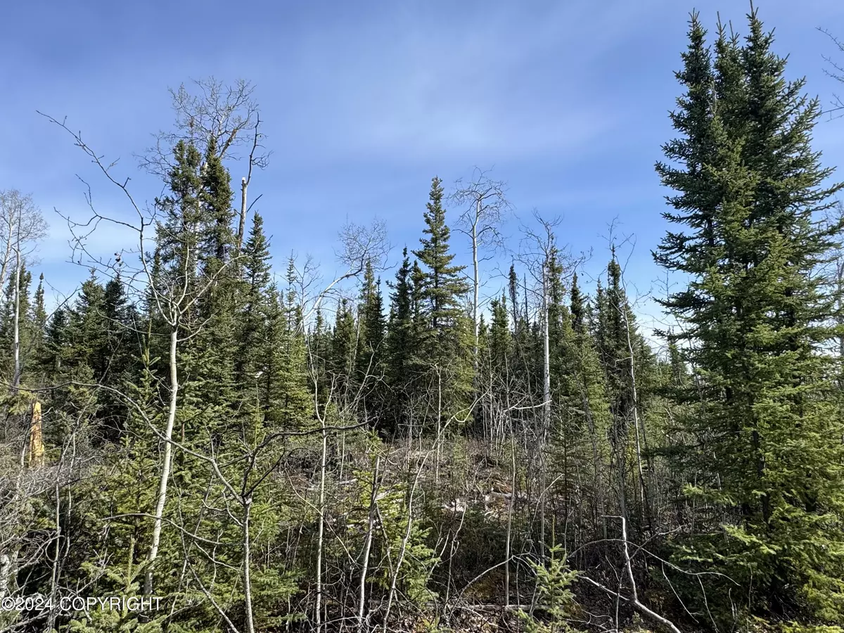 Anderson, AK 99744,UNK Yukon AVE