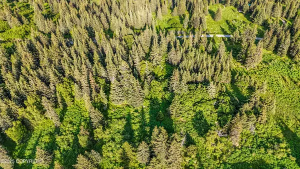 17515 Arcturus LOOP, Ninilchik, AK 99639