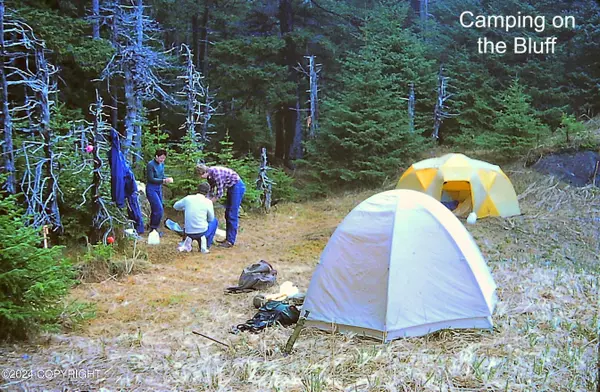 Seward, AK 99000,85-267 B S ASLS Blying Sound