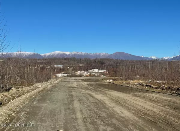 Wasilla, AK 99654,Multi Lots Fireweed RD