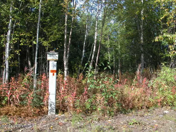 Nikiski/north Kenai, AK 99635,L6 Moose Run RD