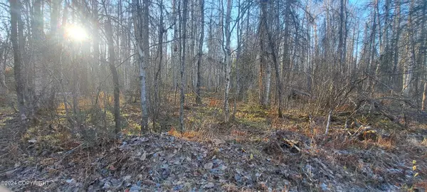 Willow, AK 99688,19940 E Tackle AVE