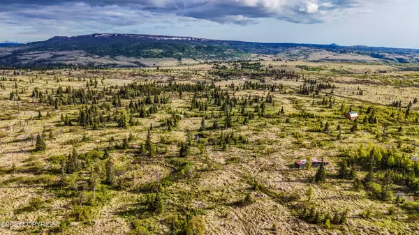 Ninilchik, AK 99639,17775 SW Caribou Hills REM