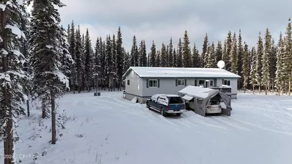 Tok, AK 99780,000 Borealis AVE