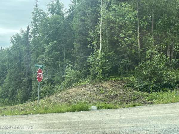 3100-3124 E Woodruff LOOP, Wasilla, AK 99654