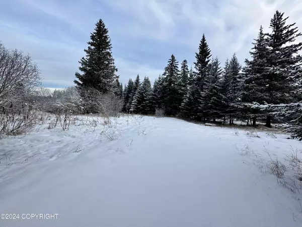 Anchor Point, AK 99556,29890 Sterling HWY