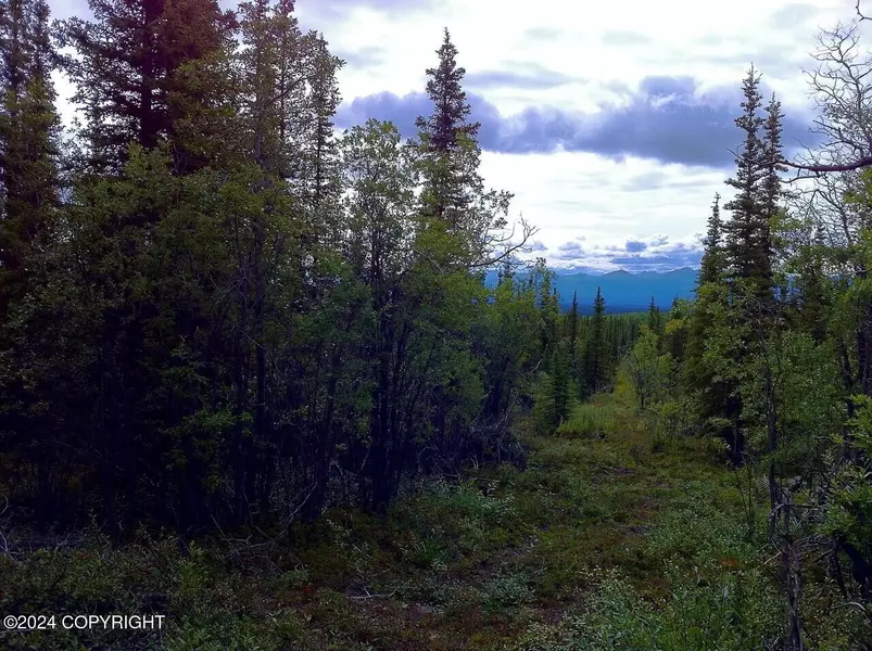 B4 - L4 Jude No Road RD, Glennallen, AK 99588