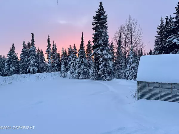 Anchor Point, AK 99556,34581 N Fork RD