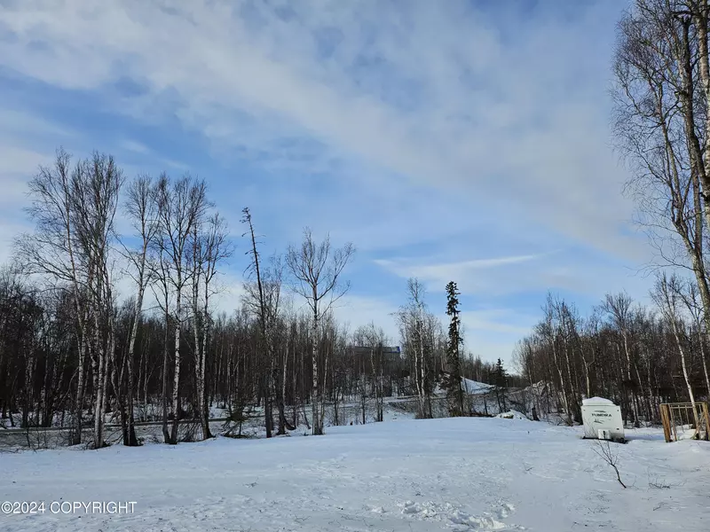 1575 W Bluff View DR, Wasilla, AK 99654