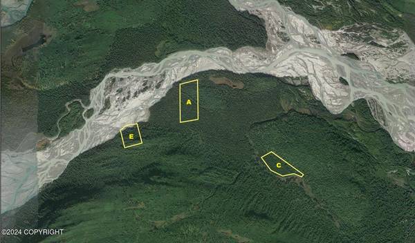 Tract C Hayes River (No Road), Skwentna, AK 99667