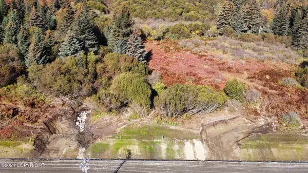 Homer, AK 99603,L1 W Fairview AVE